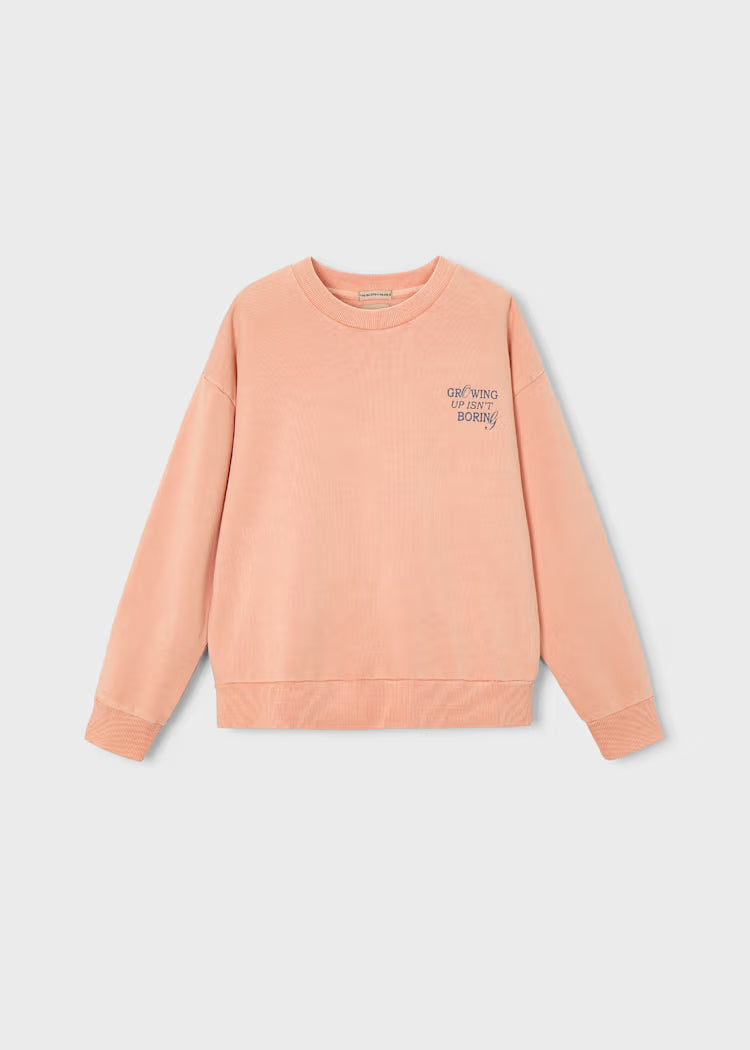 Bostono džemperis vaikinui Coral.