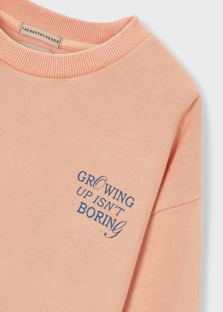 Bostono džemperis vaikinui Coral.