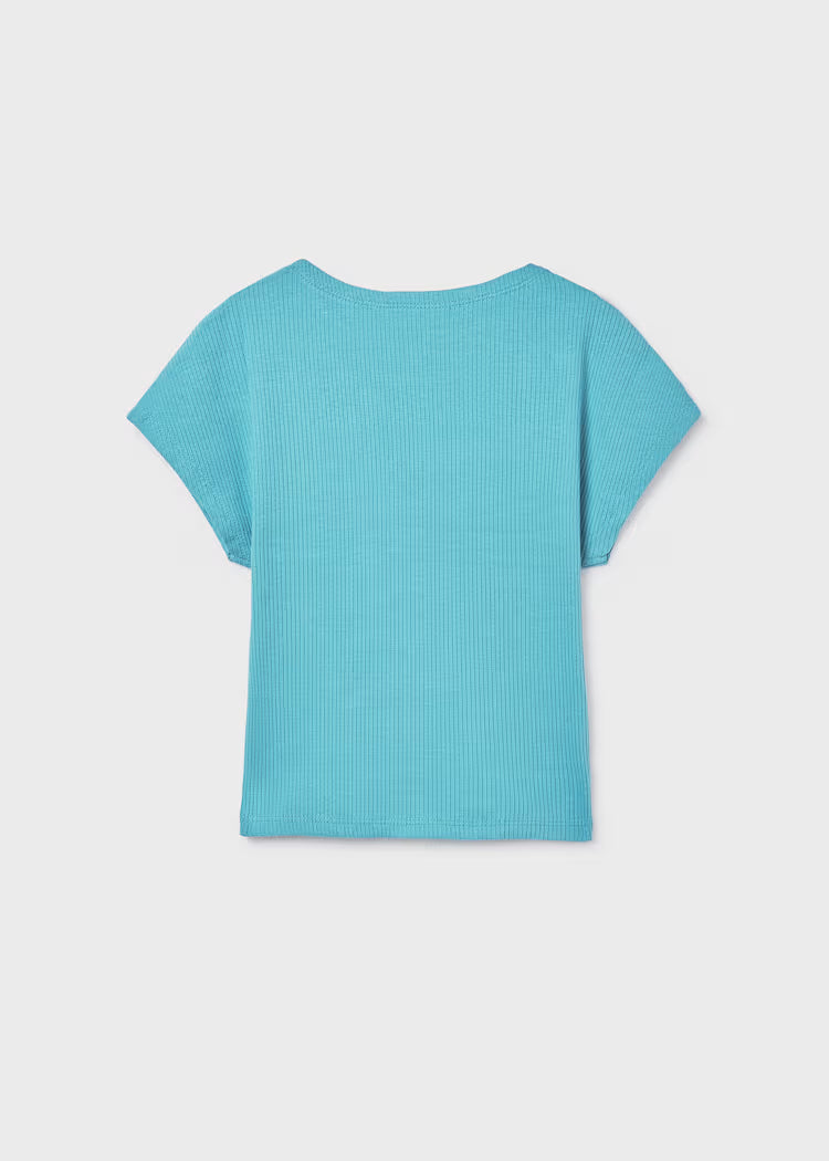 Mayoral nefrito palaidinė.